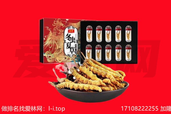 果洛回收虫草.jpg